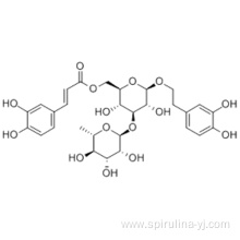 Isoacteoside CAS 61303-13-7